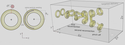 Left: initial particle seeding within the cores of the two vortex rings. Right: the reconnection sequence — first reconnection, second reconnection, and pinch off — that redirects the particles toward the sidewalls.